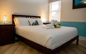 Lovely Studio Apartment In Downtown Albany